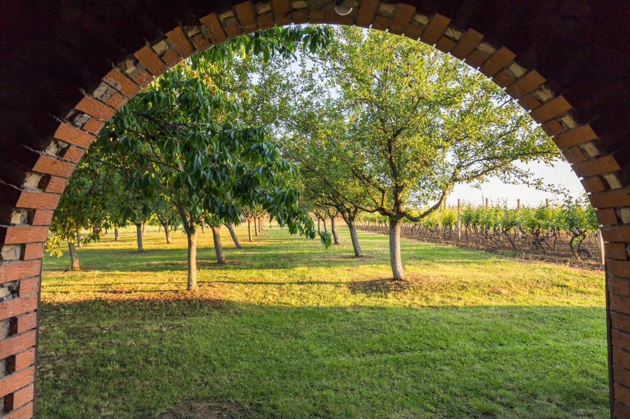 Village Wine House Mandicevac Exterior photo